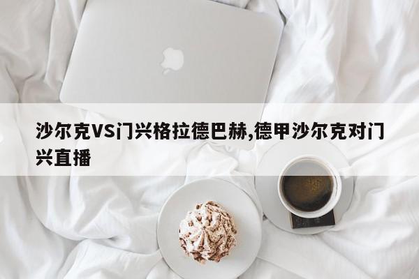 沙尔克VS门兴格拉德巴赫,德甲沙尔克对门兴直播