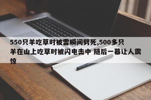 550只羊吃草时被雷瞬间劈死,500多只羊在山上吃草时被闪电击中 随后一幕让人震惊