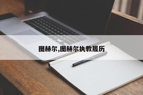 图赫尔,图赫尔执教履历