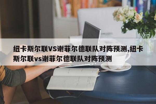 纽卡斯尔联VS谢菲尔德联队对阵预测,纽卡斯尔联vs谢菲尔德联队对阵预测